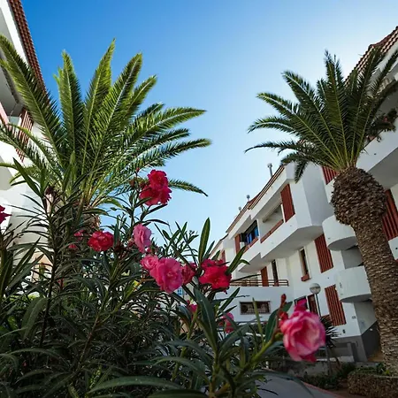 Precious Duplex Altemar, Playa Americas Arona Apartment